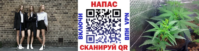 A PVP Колпашево