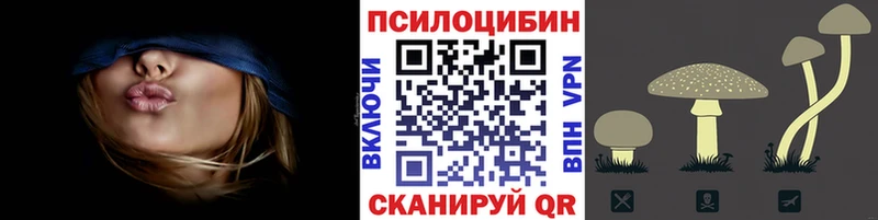 Псилоцибиновые грибы Cubensis  наркошоп  Колпашево 